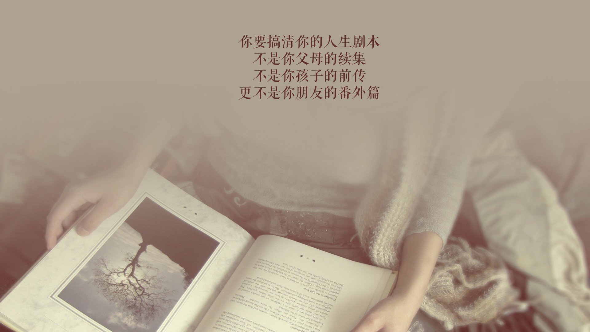 比利时与瑞士在欧预赛中争锋——现场呈现激烈对决，比利时对瑞士比赛谁赢了