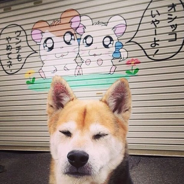 爱游戏娱乐-女子超级联赛品牌升级吸引更多主流赞助，2021女子足球超级联赛