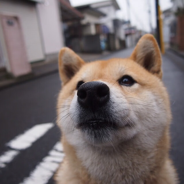 网球比赛引入即时回放系统保障公正，网球比赛现场