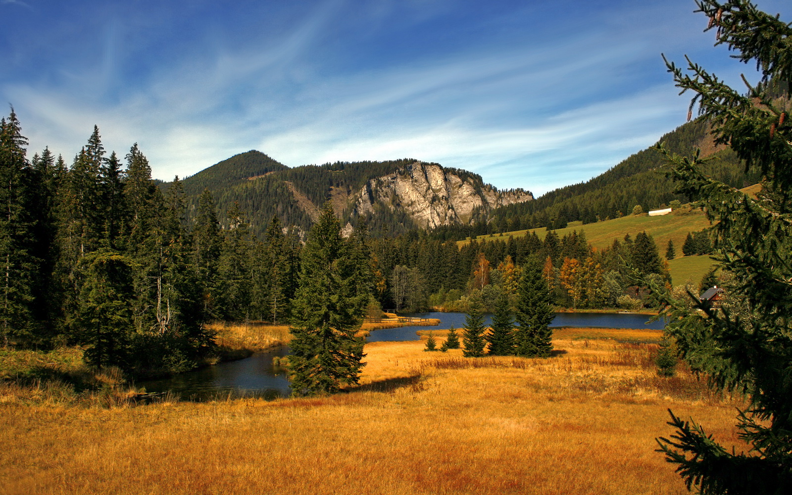 退役国手举办线上篮球训练营吸引数千学员积极参与，退役军人篮球联赛