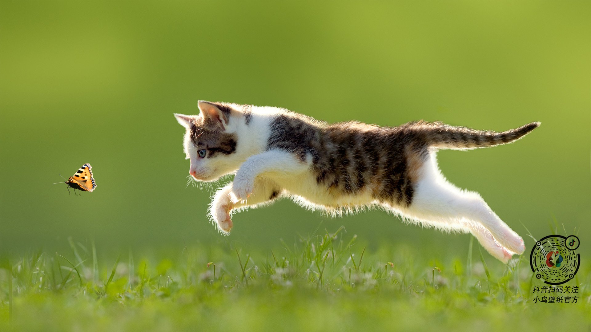 里奇·麦考：领袖气质与攻守兼备的完美结合，里奇·麦克唐纳