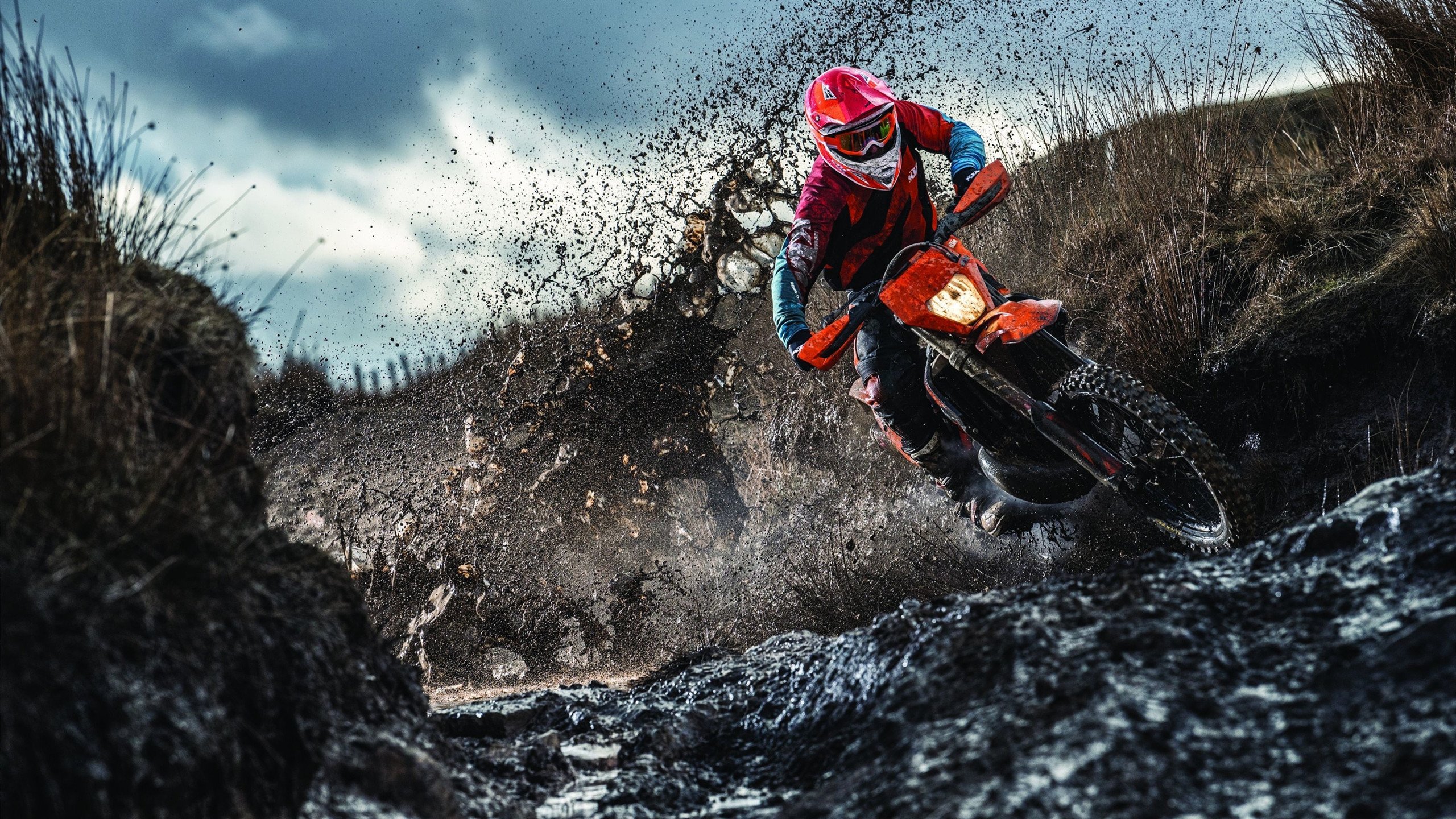 美国骑手麦克莱恩·沃德在巴黎奥运会上获得障碍赛银牌，成为历史上获得最多奥运奖牌的美国马术运动员。